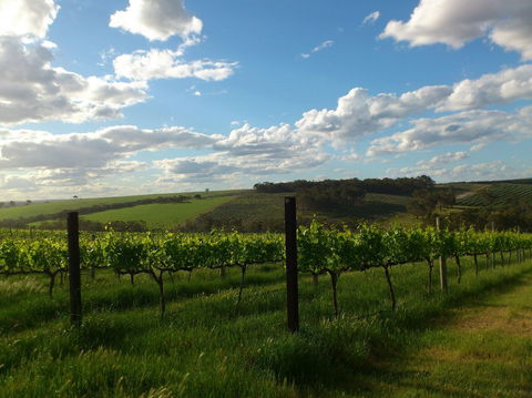 Plantagenet Wines - Lismore Accommodation 1