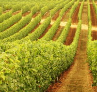Happs Wines - Lismore Accommodation