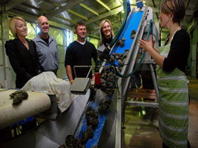 Eyre Peninsula's Seafood Trail - Lismore Accommodation 0