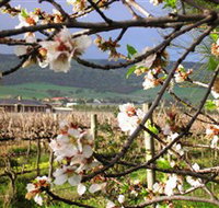 Cradle of Hills McLaren Vale Winery - Lismore Accommodation