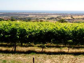 Braydun Hill Vineyard - Lismore Accommodation 0