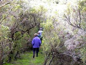 Jack And Hilda McArthur Walk - Lismore Accommodation 0