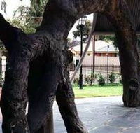 Old Gum Tree - Lismore Accommodation