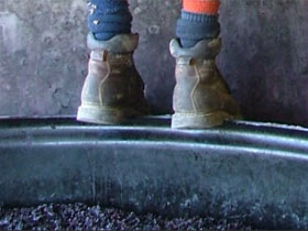 Fall From Grace - Lismore Accommodation 0