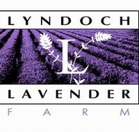 Lyndoch Lavender Farm and Cafe - Lismore Accommodation