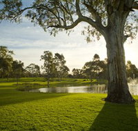 Serafino Wines - Lismore Accommodation