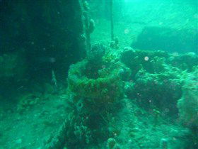 Wallaroo Scuba Club - Lismore Accommodation 0