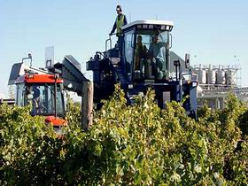 Ballast Stone Estate Wines Pty Ltd - Lismore Accommodation 0