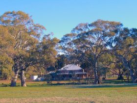 Old Wilpena Station - Lismore Accommodation 0