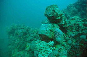 Adelaide's Underwater Heritage Trail - Lismore Accommodation 0
