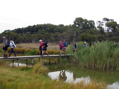 Lavender Federation Trail - Lismore Accommodation 1
