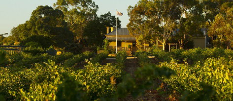Greenock Creek Wines - Lismore Accommodation 2