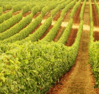 Schild Estate Wines - Lismore Accommodation