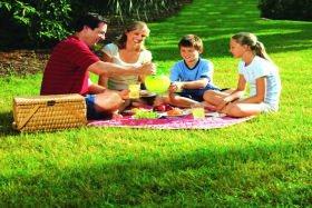 Bruny Island Berry Farm - Lismore Accommodation 0