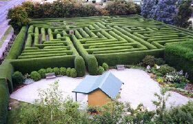 Westbury Maze And Tea Room - Lismore Accommodation 0