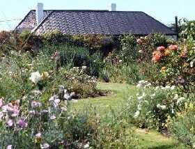 Rosedown Gardens - Lismore Accommodation 0