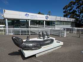 Australia's Antarctic Headquarters - Lismore Accommodation 0