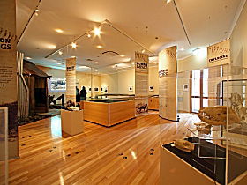 Tasmanian Tiger Exhibition - Lismore Accommodation 0