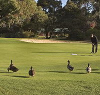 Royal Hobart Golf Club - Lismore Accommodation