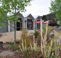 Tin Dragon Interpretation Centre and Cafe - Lismore Accommodation