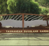 Tasmanian Bushland Garden - Lismore Accommodation
