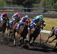 Alice Springs Turf Club - Lismore Accommodation