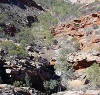 Serpentine Chalet Bush Camping Area - Lismore Accommodation