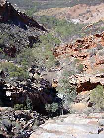 Serpentine Chalet Bush Camping Area - Lismore Accommodation 0