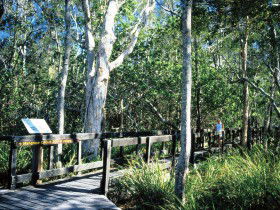 Kinaba Track - Lismore Accommodation 0