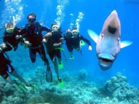 Jew Shoal Dive Site - Lismore Accommodation 0