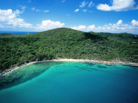 Noosa Heads Coastal Track - Lismore Accommodation 0