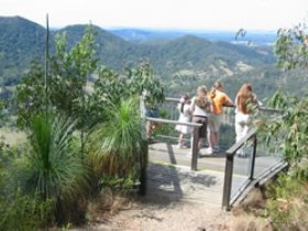 Mapleton Forest Reserve - Lismore Accommodation 0