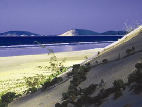 Cooloola, Great Sandy National Park - Lismore Accommodation 0