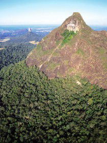 Mount Beerwah Track - Lismore Accommodation 0