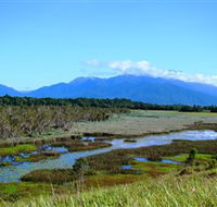 Eubenangee Swamp National Park - Lismore Accommodation