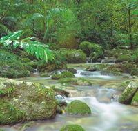 Mossman Gorge Daintree National Park - Lismore Accommodation