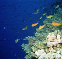 The Three Sisters Dive Site - Lismore Accommodation