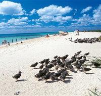 Michaelmas and Upolo Cays National Park - Lismore Accommodation