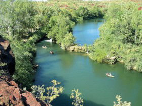 Wild Dog Dreaming, Boodjamulla (Lawn Hill) National Park - Lismore Accommodation 0