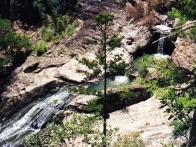 Banksia Track And The Boardwalk - Lismore Accommodation 0