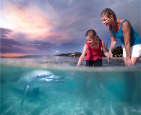 Tangalooma Island Resort - Lismore Accommodation 0