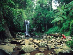 Tamborine National Park - Lismore Accommodation 0