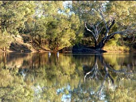 Welford National Park - Lismore Accommodation 0