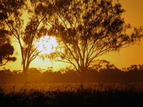 Lake Houdraman - Lismore Accommodation 0
