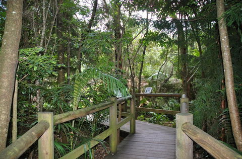 Cedar Creek Estate - Lismore Accommodation 1
