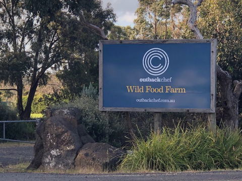 Wild Food Farm & Cafe - Lismore Accommodation 1