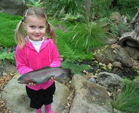Wild Food Farm & Cafe - Lismore Accommodation 0