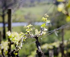 Book Wartook VIC Attractions Lismore Accommodation Lismore Accommodation