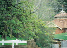 Hepburn Regional Park - Lismore Accommodation 0