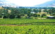 Upper Murray Estate - thumb 0